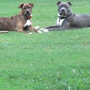 Meet your Posher, Marie